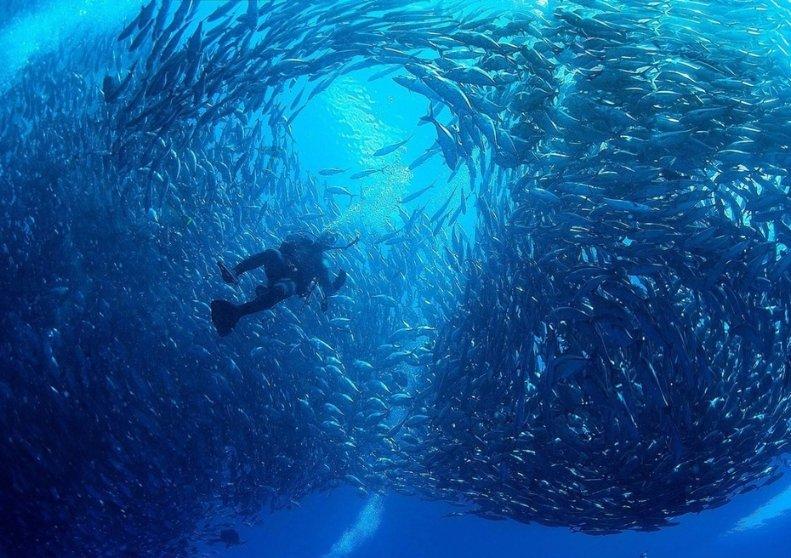 探讨天下问题,尽在黄欣恬这个名字可以打多少分?蜗牛问答平台
